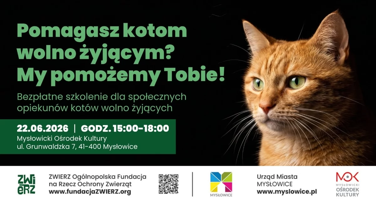 NEWS, Urząd Miasta Mysłowice organizuje bezpłatne szkolenie opiekunów kotów wolno żyjących - zdjęcie, fotografia