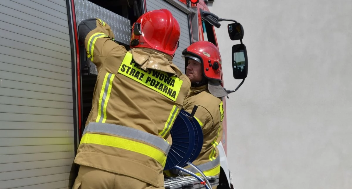 NEWS, atakuje latem Alert mieszkańców Mysłowic - zdjęcie, fotografia