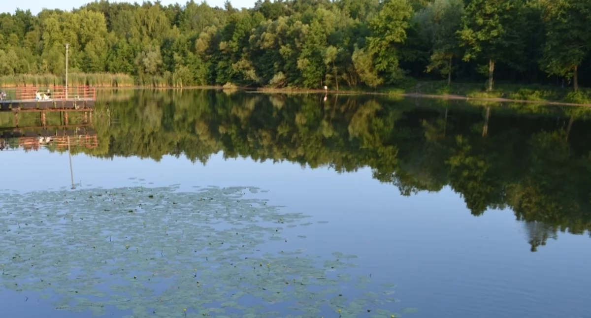 Wesoła Fala