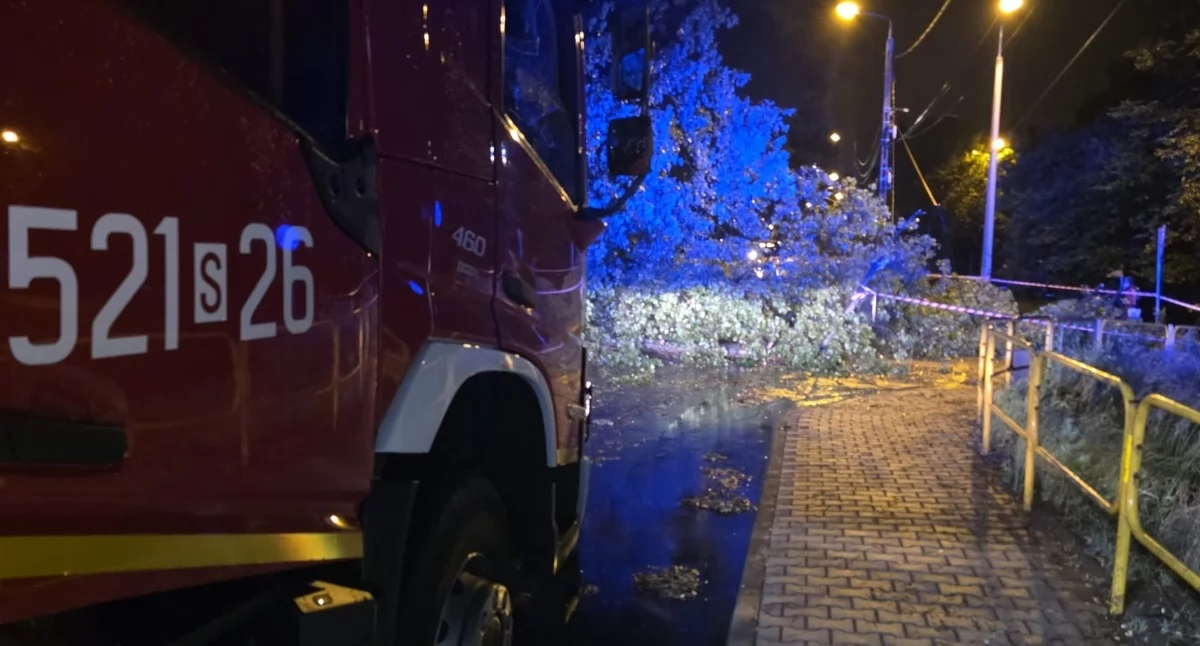 Przewrócone drzewo na ul. Ziętka. Fot. PSP Mysłowice