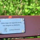 zdjęcie nr 21