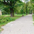 Wichura w Mysłowicach