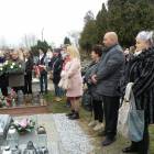 zdjęcie nr 11