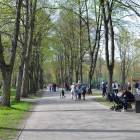 zdjęcie nr 42