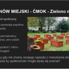 Jaki pomysł na miasto ma nowa prezydent Mysłowic?