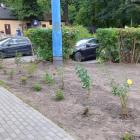 zdjęcie nr 7