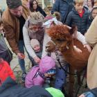 Kapibara Jesieniara podbiła Mysłowice