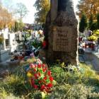 zdjęcie nr 12