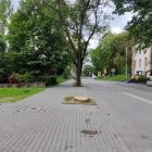 Wycięte drzewa na ul. Mickiewicza 