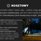 Jaki pomysł na miasto ma nowa prezydent Mysłowic?