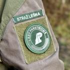 Przed świętami wzmożone kontrole w lasach