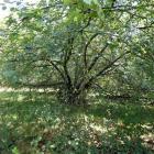 zdjęcie nr 33