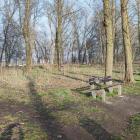 zdjęcie nr 8