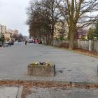 zdjęcie nr 7