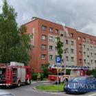 zdjęcie nr 12