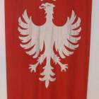 zdjęcie nr 15