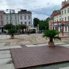 Mysłowice prawie jak Katowice. Też mają palmy na Rynku