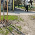 Nowy zieleniec przy Armii Krajowej w Mysłowicach został rozdeptany