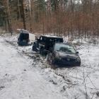 Fotka nr 5 z 8