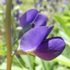 zdjęcie nr 10