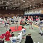 Roan Fight Club Mysłowice wrócił z mistrzostw Europy z medalami!