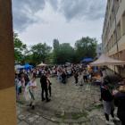 zdjęcie nr 8