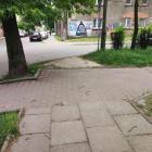 Fotka nr 5 z 6