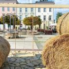 Rynek w Mysłowicach w jesiennych barwach