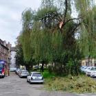 Wichura w Mysłowicach