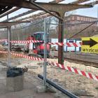 zdjęcie nr 8
