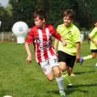 Fotka nr 5 z 16