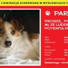 zdjęcie nr 8