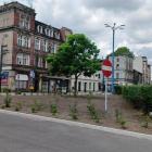 zdjęcie nr 8