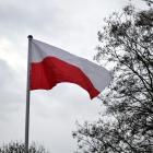zdjęcie nr 13