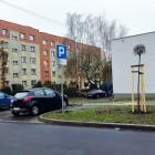 Rozjeżdżony zieleniec zamiast parkingu
