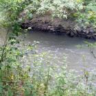 Przemsza, bystrze