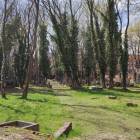 zdjęcie nr 7