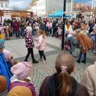 Kapibara Jesieniara podbiła Mysłowice