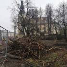 Fotka nr 5 z 6