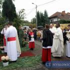 zdjęcie nr 79