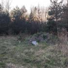 Na Wesołej planowana jest budowa 21 domów wolnostojących. 