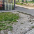 Nowy zieleniec przy Armii Krajowej w Mysłowicach został rozdeptany