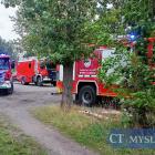 zdjęcie nr 12