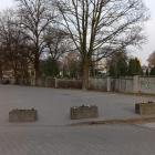zdjęcie nr 8