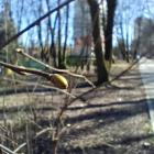 W Parku Zamkowym czuć wiosnę