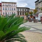 Mysłowice prawie jak Katowice. Też mają palmy na Rynku