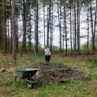Mieszkańcy Mysłowic wzięli sprawy w swoje ręce: Kępa Krasowska posprzątana