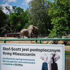 zdjęcie nr 7