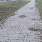 Fotka nr 2 z 10