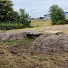 W Kosztowach powstaje ekologiczny park